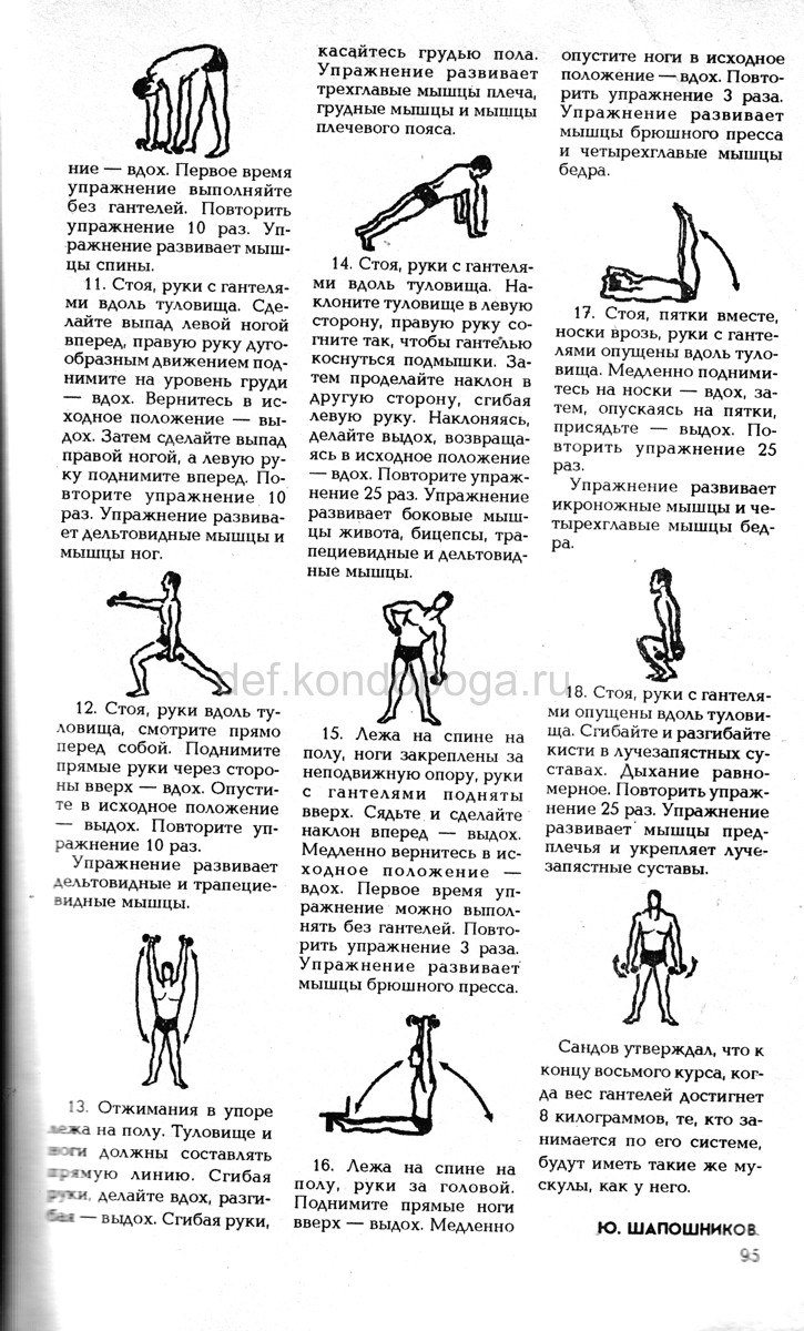 Система сандова упражнения с гантелями