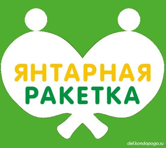 Янтарная ракетка 2013