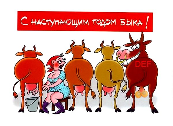 С Новым годом!!!