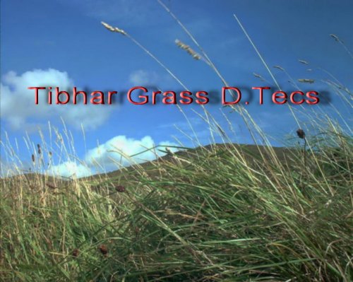 Мой второй опыт игры длинными шипами в версии Ох - Tibhar Grass D.Tecs на основании Andro Fibercomp Def